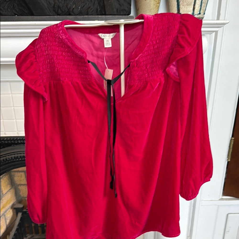 Cato brushed velvet top with Ruffle Detail- NWT. Retail 46